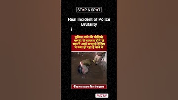 Instant fake news digest - 27 October 2025