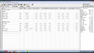 Tutorial NutriSurvey Food Recall