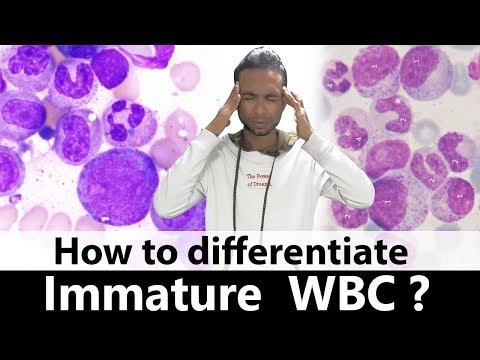 How to differentiate immature WBC ???