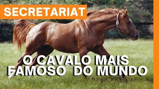 Secretariat o CAVALO mais FAMOSO do MUNDO