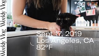 Too! Many! Emotions!
Wow, lots of emotions this week. Wheew! Im exhausted from feeling!! How are you guys doing?
0:11 - Vlog No. 36 https://www.youtube.com/watch?v=IofQC0OB6mE&t=2s
1:14 - Vlog No. 23 https://www.youtube.com/watch?v=JGRuhzpRj50&t=1s
5:22 - Olipop https://www.instagram.com/drinkolipop/
9:39 - Breast lump talk on my instagram https://www.instagram.com/p/B2kFH6hhJNi/
12:28 - Noto Botanics https://www.instagram.com/noto_botanics/?hl=en
12:44 - Kristen Ess https://www.instagram.com/kristin_ess/?hl=en
More goodness on:
www.instagram.com/punodostres
www.facebook.com/punodostres
Edited by: Hanna La Salvia
@shleepyhans
Camera: — Canon G7 X PowerShot Digital Camera
http://amzn.to/2lYJeSu
Editing — Premiere Pro Adobe Creative Cloud
http://bit.ly/adobecreativecloud-puno Too! Many! Emotions!