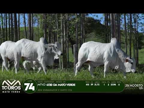 LOTE 74   MTVD 4763   4720   4714