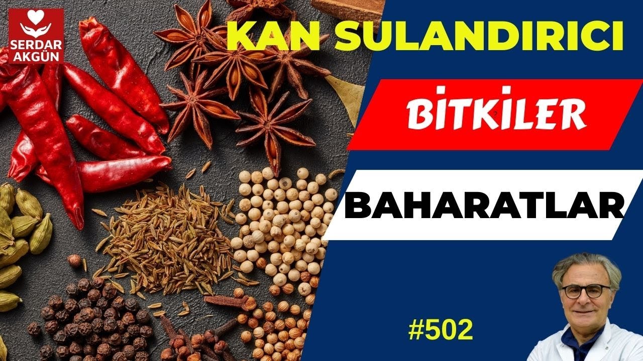 502. Kan Sulandırıcı Bitkiler ve Baharatlar, Serdar Akgün
