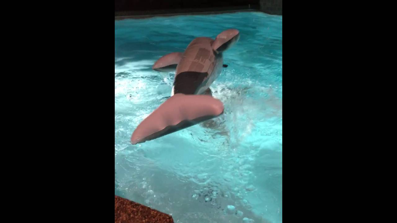 Dolphin inflatable fail