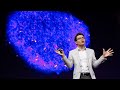 How were reverse engineering the human brain in the lab  sergiu p pasca  ted