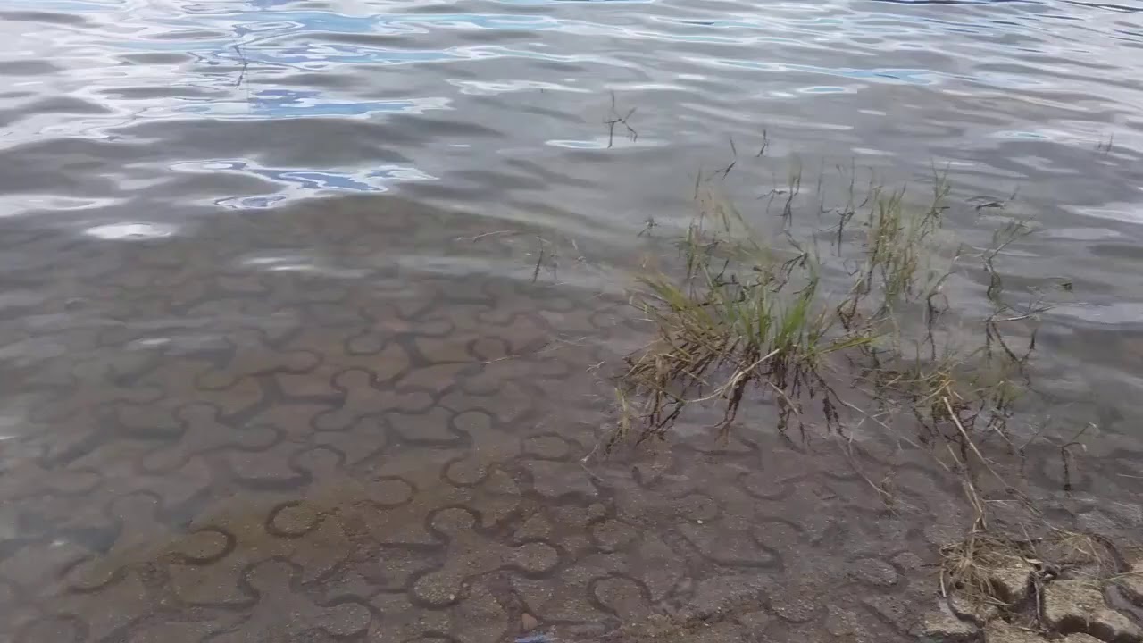 Chopper goes to Paluma dam