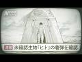 【速報】未確認生物『ヒト』の着弾を確認【ヒトナー】