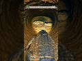 🐊crocodile an house of tunnel😱❔|| #trending #viral #shorts