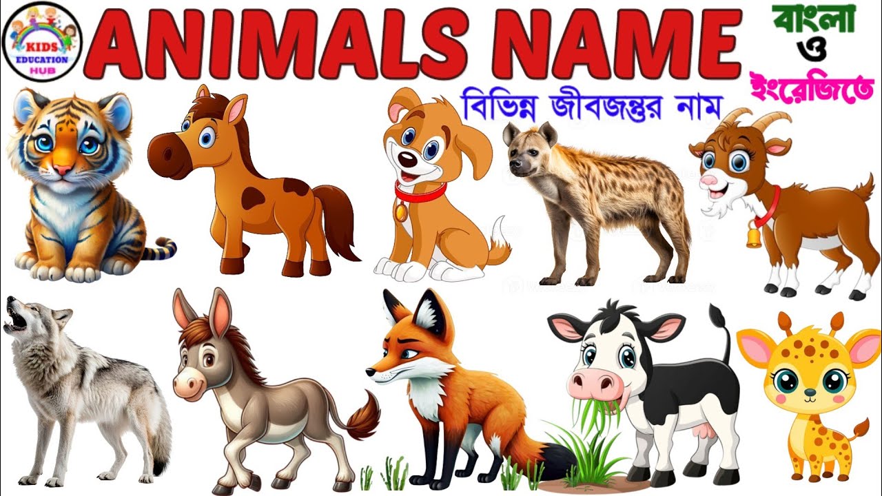 Animals Name 🐯🐕| Animals Name in Bengali to English With Pictures | Animals Name for Kids | Animals