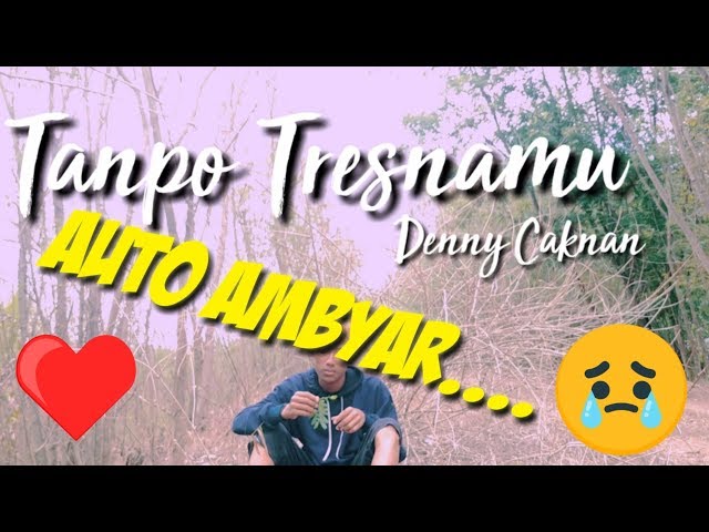 Denny Caknan Tanpo Tresnamu Cover Dieka Yk class=