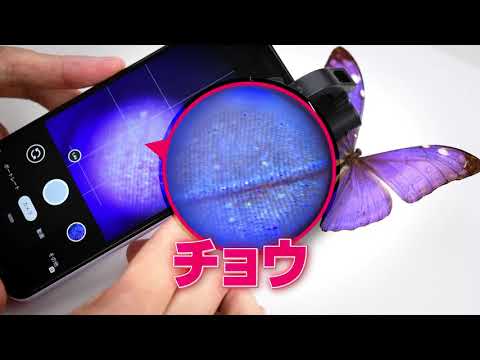 DIME9・10月号の特別付録はミクロの世界が楽しめる「90倍スマホ顕微鏡」です！