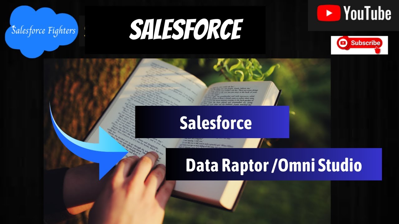 Data Raptor Omni Studio | Data Raptor | Data Raptor Extract | For ...