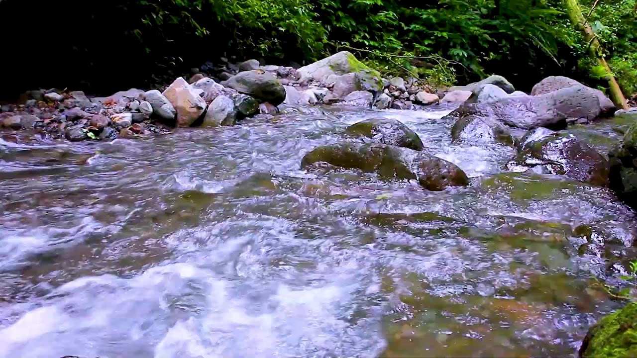 Peaceful Mountain River at Dusk | Nature White Noise for Deep Rest