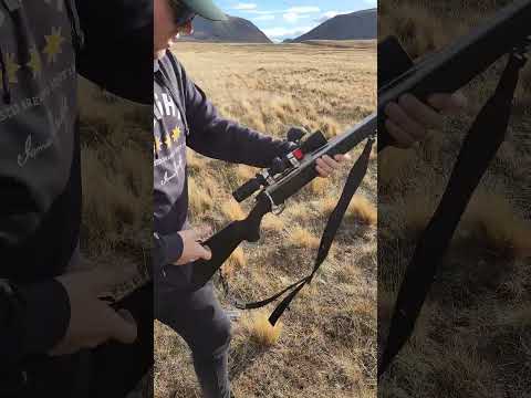 Browning X Bolt Ruger M77 Tikka T3x Howa Mini 1500 Gun Hunting Firearms Shootingsport 