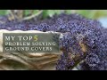 🍃 My TOP 5 ▪️Favorite Ground Covers | Linda Vater