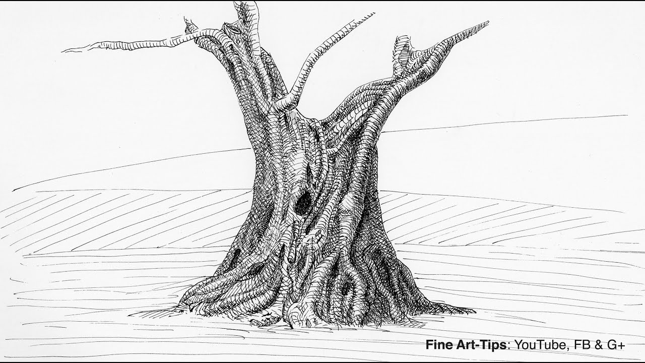 21759 Olive Tree Drawing Images Stock Photos  Vectors  Shutterstock