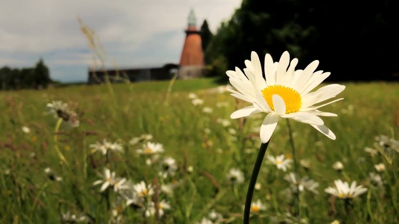 « Tous les chemins mènent à vous » au Lac de Vassivière en Haute-Vienne et Creuse.