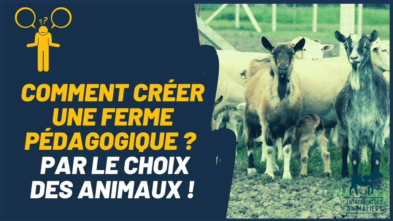 Ouvrir une ferme pédagogique – Les étapes clés pour réussir