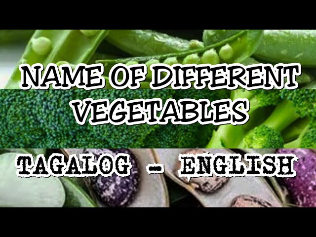 TAGALOG - ENGLISH TRANSLATION, VEGETABLE EDITION PART 2 Learn Basic E