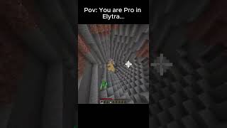Pov You Are Pro In Elytra..