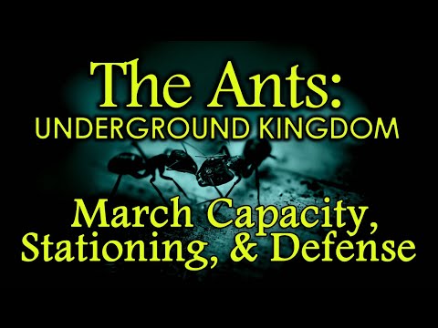 The Ants: Underground Kingdom - Beginners Guide - March Cap, Stationing, and Defense