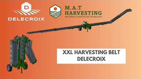 XXL Harvesting Conveyor Belt - Multiple Vegetables - 65ft
