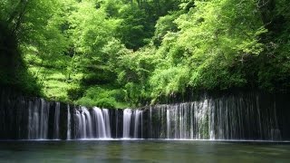 Floating Planet - Rainforest [Visualization]