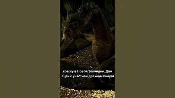 При съёмках фильма ХОББИТ: ПУСТОШЬ СМАУГА (2013)...
