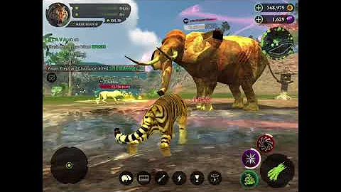Cosa si trova nei negozi Tiger?
