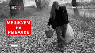 видео: Миграция судака... Или НЕТ?! картинка: Миграция судака... Или НЕТ?!