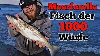 Wir fangen den Fisch, der die meisten Angler zum verzweifeln bringt 🎣  Insel Angeln auf Mefo 
