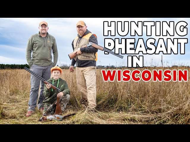 Hunting Pheasants in Wisconsin - YouTube