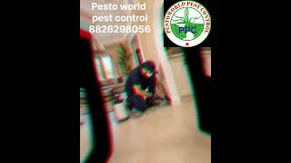 #termite