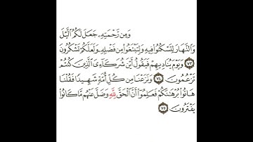 سورة القصص 26 القسم السادس والعشرون تكرار كيفي من .. ومن رحمته جعل لكم الليل .. إلى .. يفترون