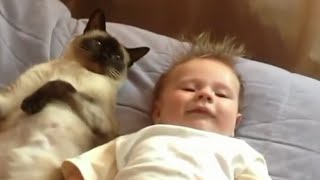 ПРИКОЛЫ С ДЕТЬМИ. КОШКИ И ДЕТКИ! СМЕШНАЯ ПОДБОРКА! ПРИКОЛЫ С ДЕТЬМИ. КОШКИ И ДЕТКИ! СМЕШНАЯ ПОДБОРКА!