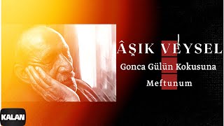 Âşık Veysel - Gonca Gülün Kokusuna Meftunum I Akıl Defteri 2023 © Kalan Müzik