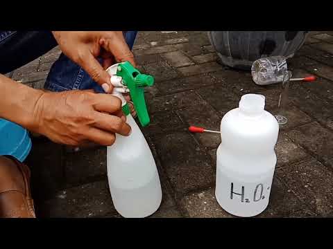 Video: Penggunaan Hidrogen Peroksida Untuk Menyelesaikan Masalah Seharian