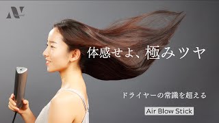 Air Blow Stick | Japan Trend Shop
