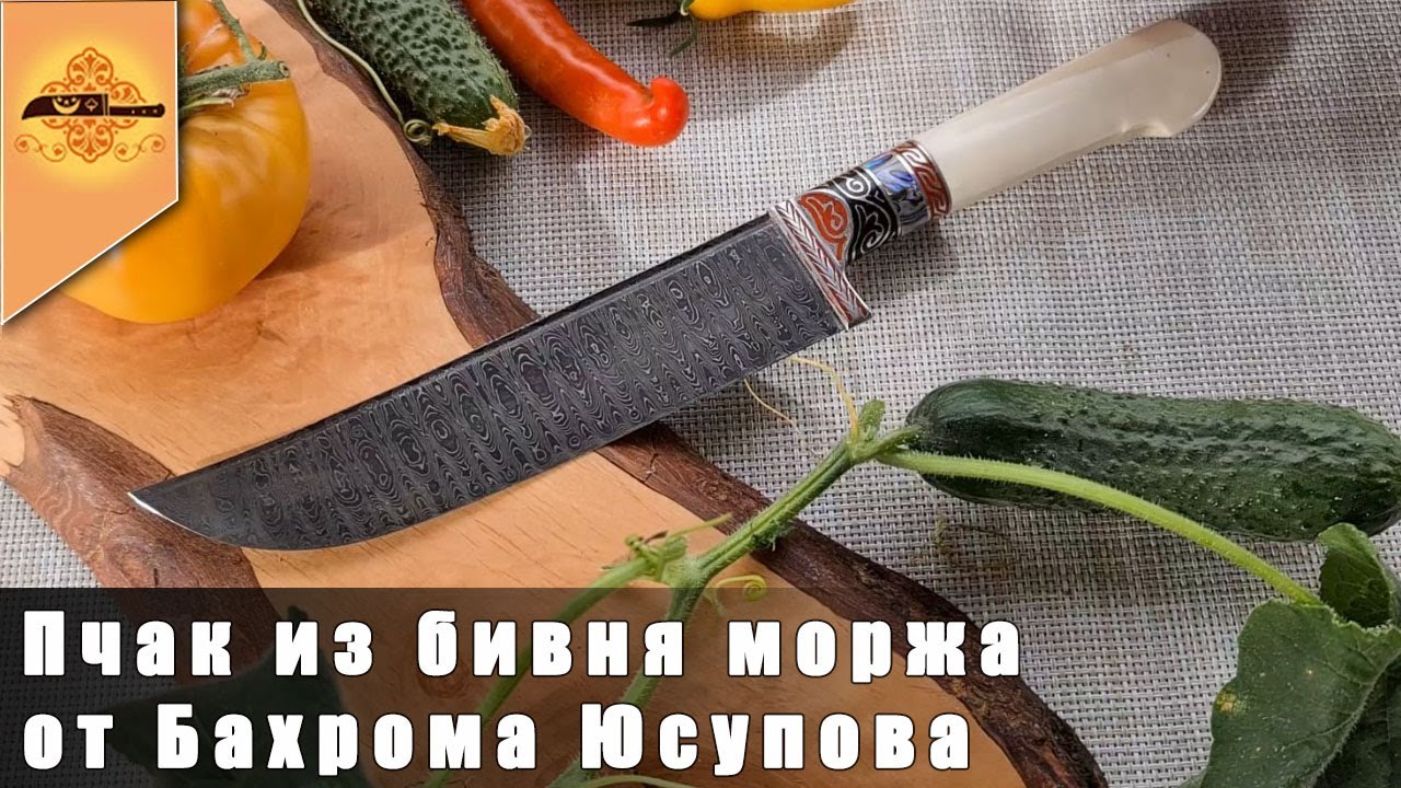 Уникальный пчак из бивня моржа. Почему клык моржа самый лучший из ...