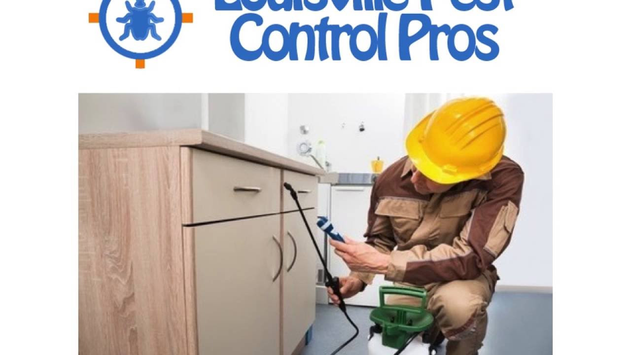 Louisville KY Termite Exterminator Louisville Pest Control Pros YouTube