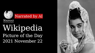 Wikipedia Picture Of The Day 2021-11-22 - Baby Huwae Narrated By Brian