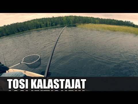 Video: Järvi Temppu. Hauki Onki