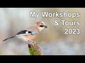 My Wildlife Photography Workshops &amp; Tours 2023