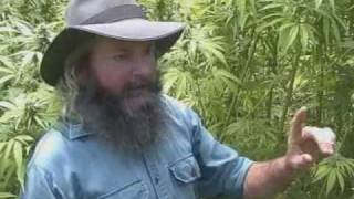 4 Growers Lot by Kog @NIMBINTELEVISION