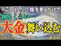 ※突然この動画が目に止まったあなた！怖いくらい【大金】が手に入る予兆！見るだけで金運が爆上げする【白蛇様】の恩恵「岩国白蛇神社」遠隔参拝【白蛇金運お守りプレゼント企画予告】