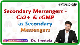 Secondary Messengers -  Ca2+  and cGMP as secondary messengers screenshot 2