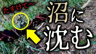 【戻れない! 】山奥で沼にハマり脱出不可能になりました【西表島遠征#4】