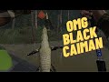 Fishing Planet - Black Caiman,Tambaqui,Apapa,Brycon and Red Paecock Bass