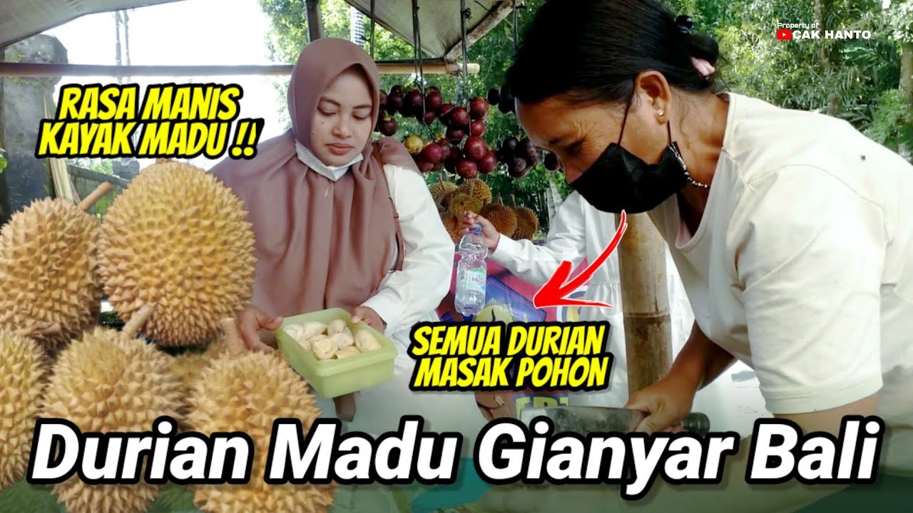 DURIAN BALI MURAH, DURIAN MADU KHAS DESA TEMEN GIANYAR - Cak Hanto