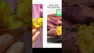 홍성 유기농 꿀 고구마 무농약 베니하루카 3kg 5kg [원산지:국산(충청남도 홍성군)]#고구마#홍성고구마#유기농고구마#베니하루카#스몰아씨